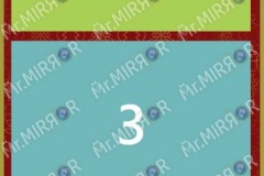 81